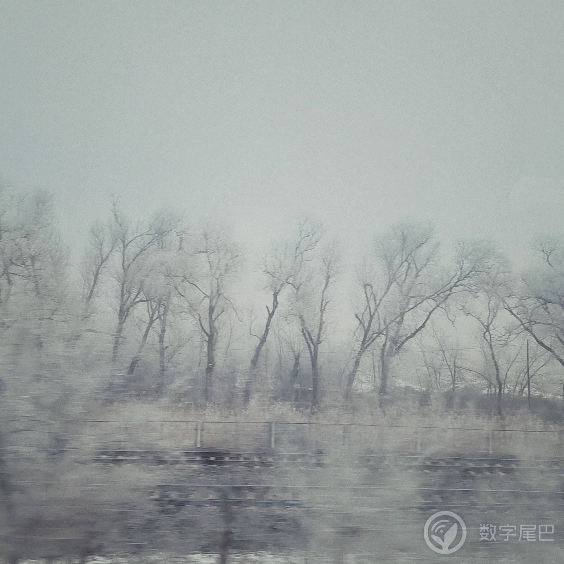 东北方向在往北的旅行