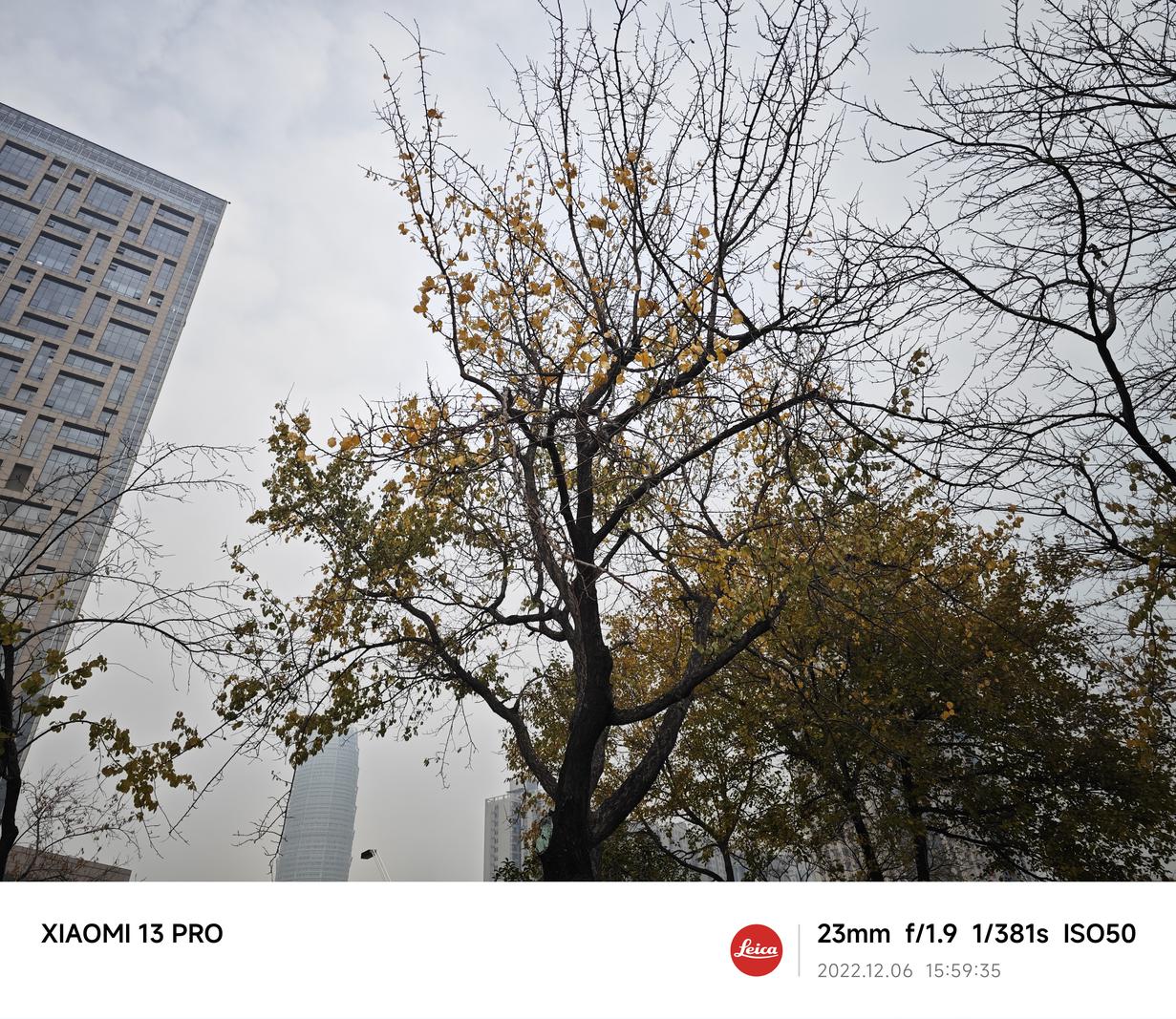 小米13 Pro评测：以旗舰之名 享超旗舰之实