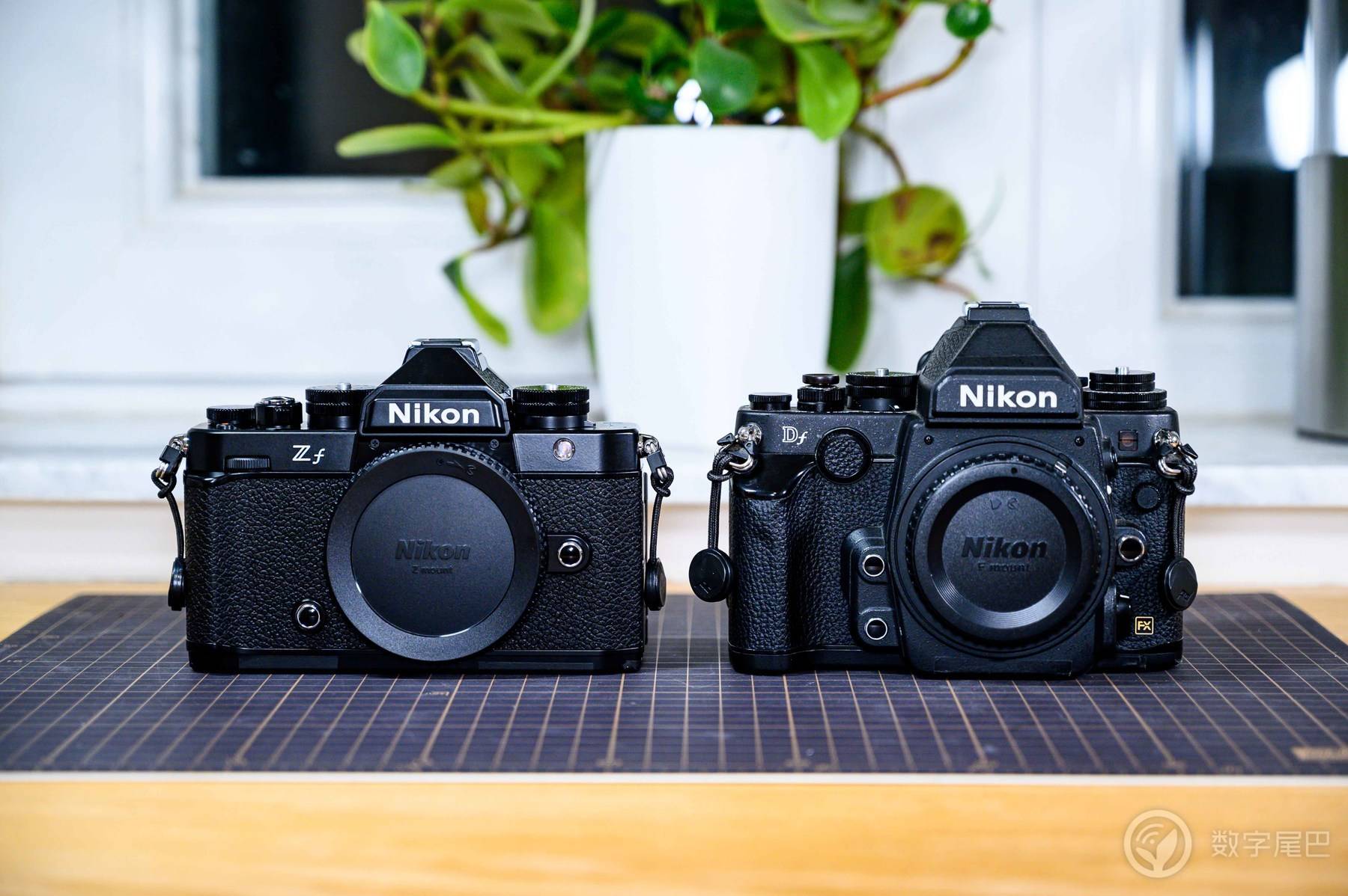 「十年之约」Nikon Zf 赋予爱以形式丨尼康映像