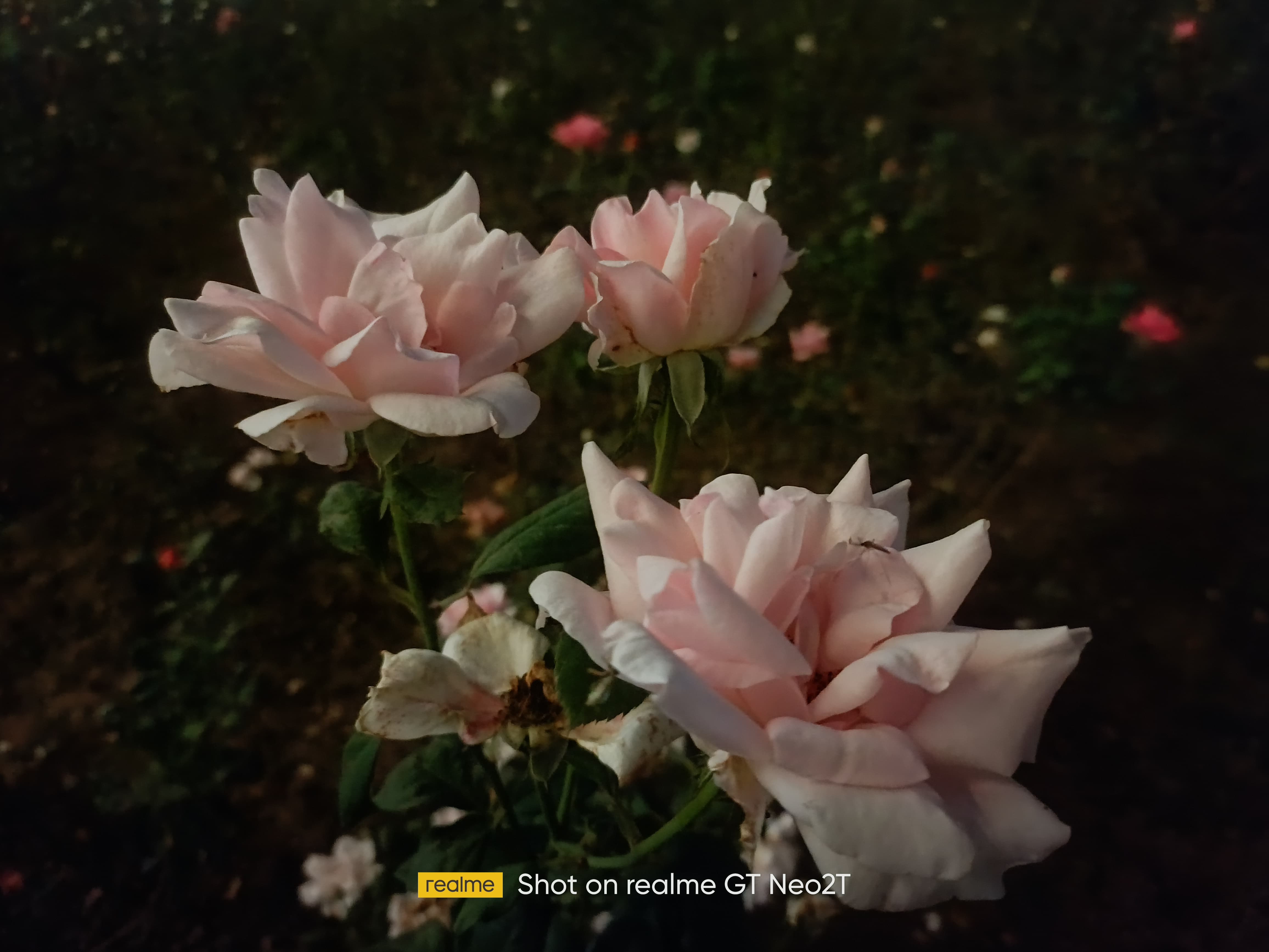 realme GT Neo2T评测：国内首发天玑1200AI 性能再升级