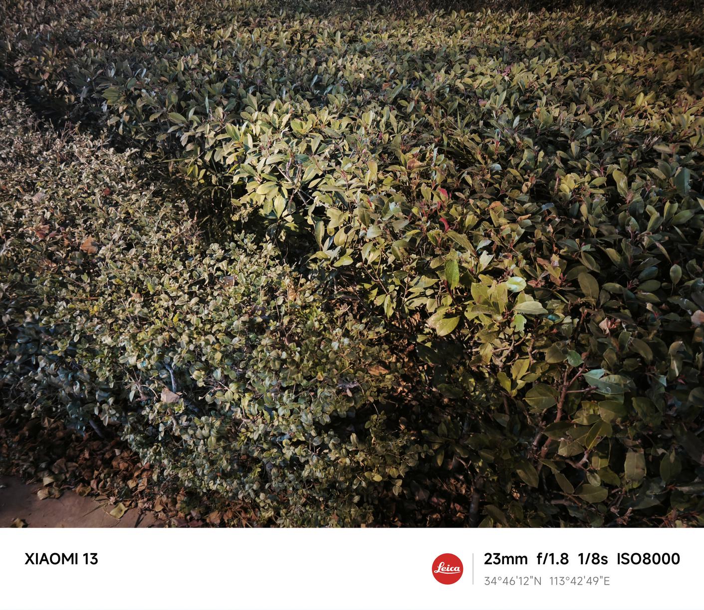 小米13评测:小米从标准版开始的高端之路