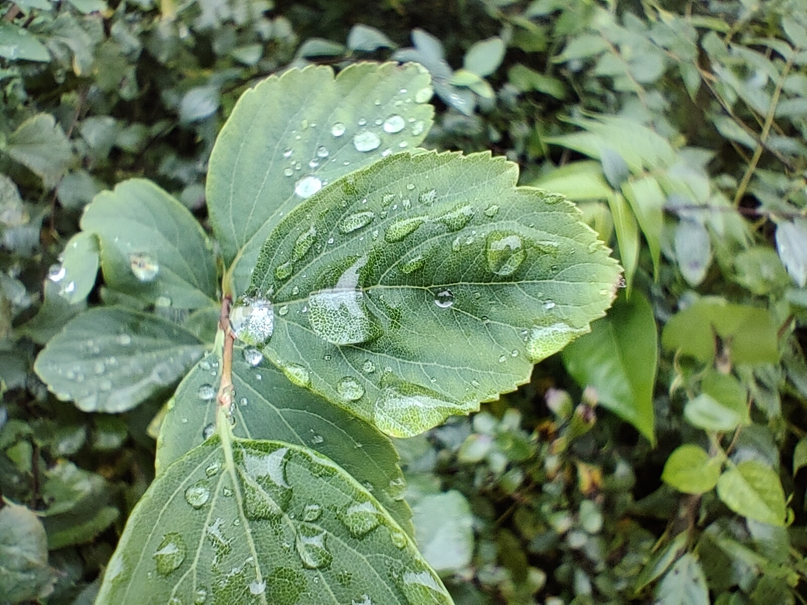 一加9RT评测：撕掉小众标签 奔向主流赛道