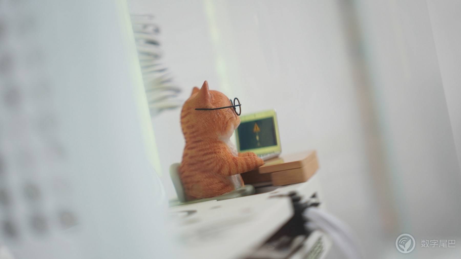 “猫缸” 鱼缸里面养一只“橘猫”｜MATX海景房双曲面玻璃机箱～