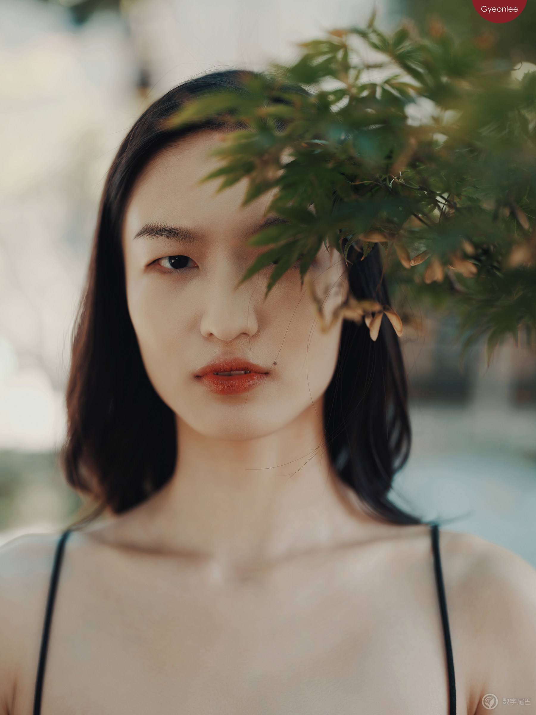 光与影 ｜ 富士GFX100II