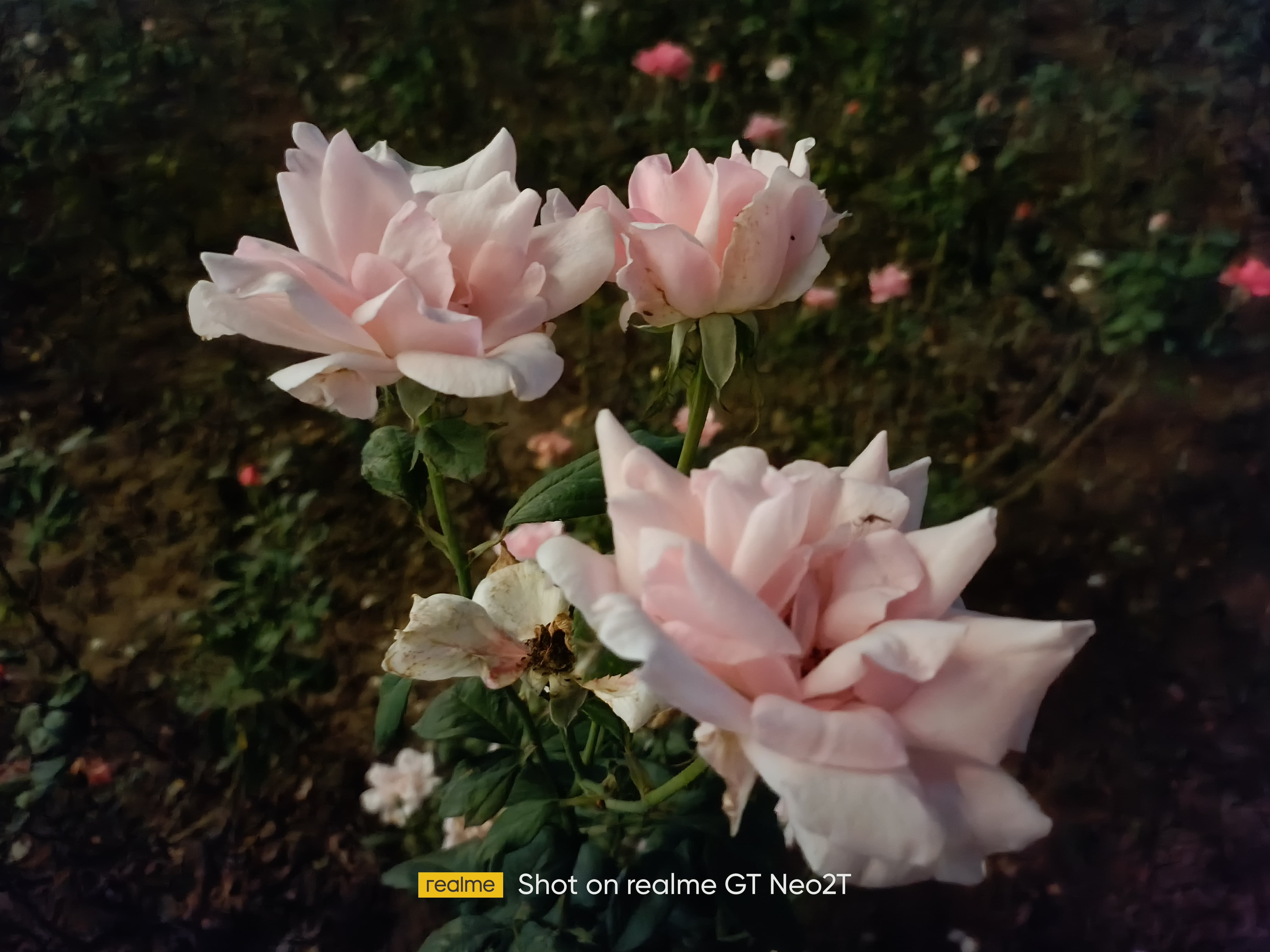 realme GT Neo2T评测：国内首发天玑1200AI 性能再升级