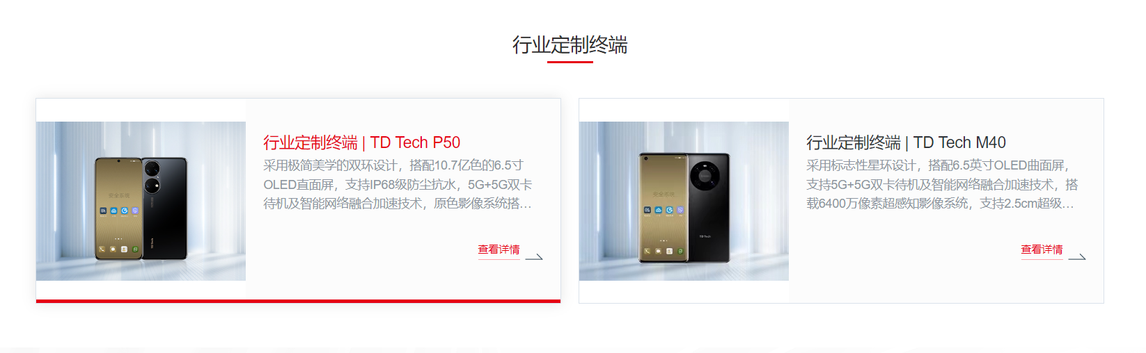 鼎桥TD Tech P50正式发布 暂不面对普通消费者