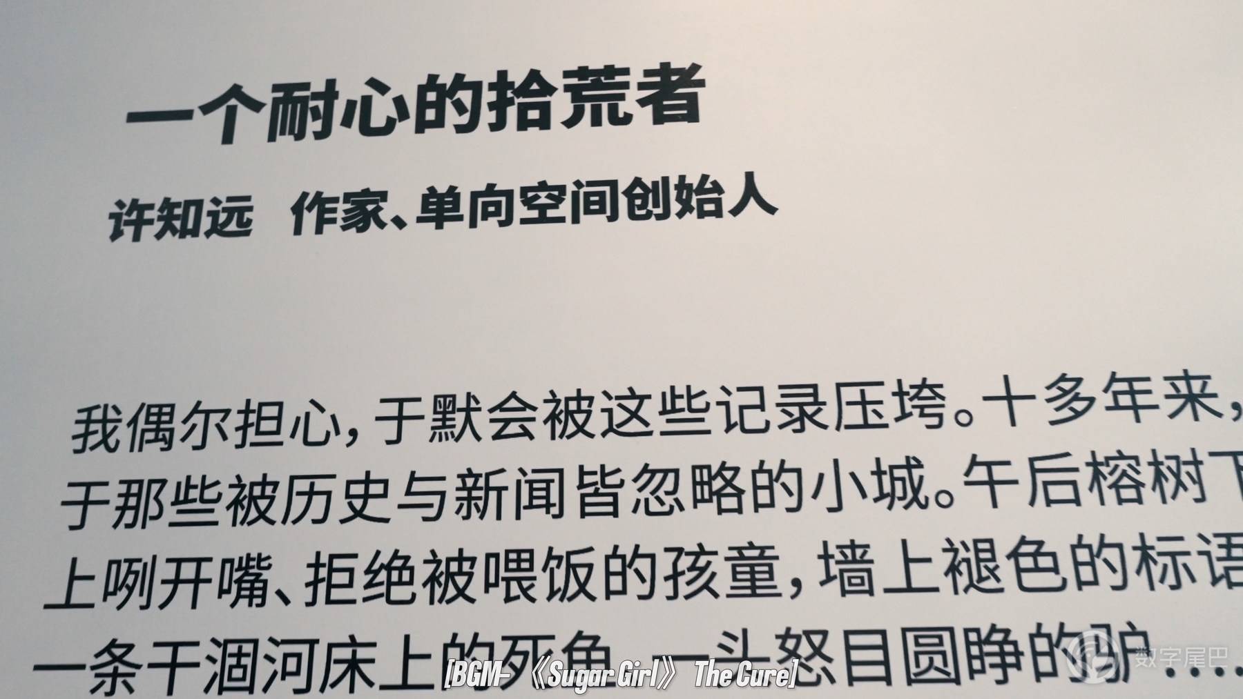 去山谷里享受阅读