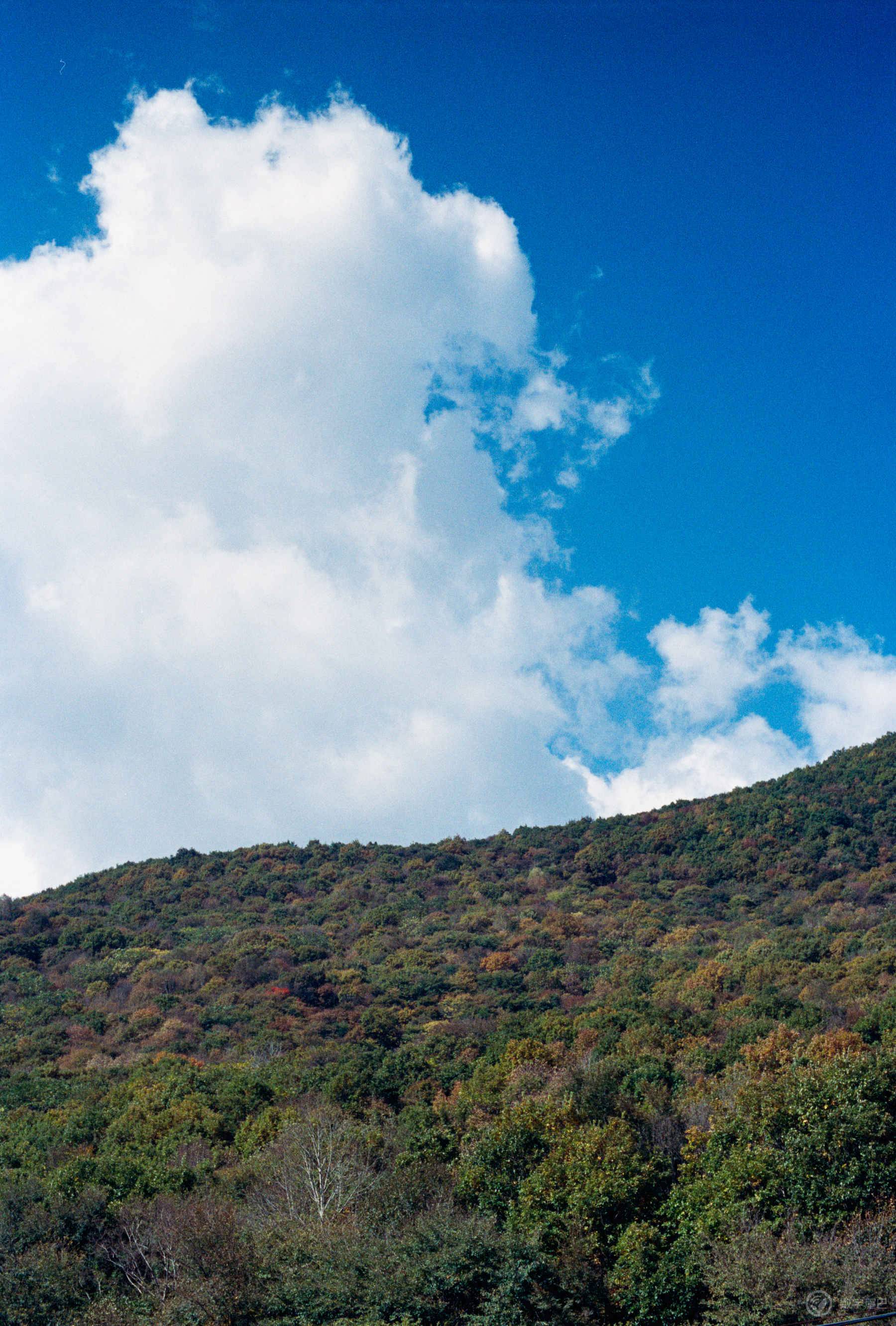 独自骑车去长白山，一边骑一边拍