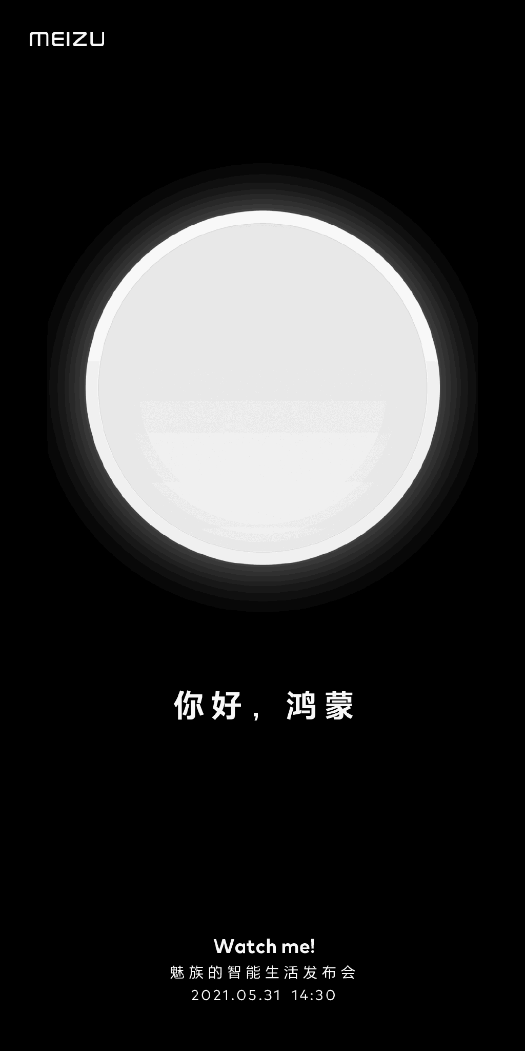 魅族正式宣布接入鸿蒙系统！