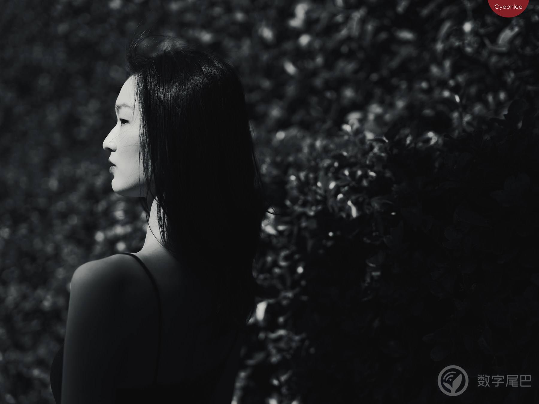 光与影 ｜ 富士GFX100II