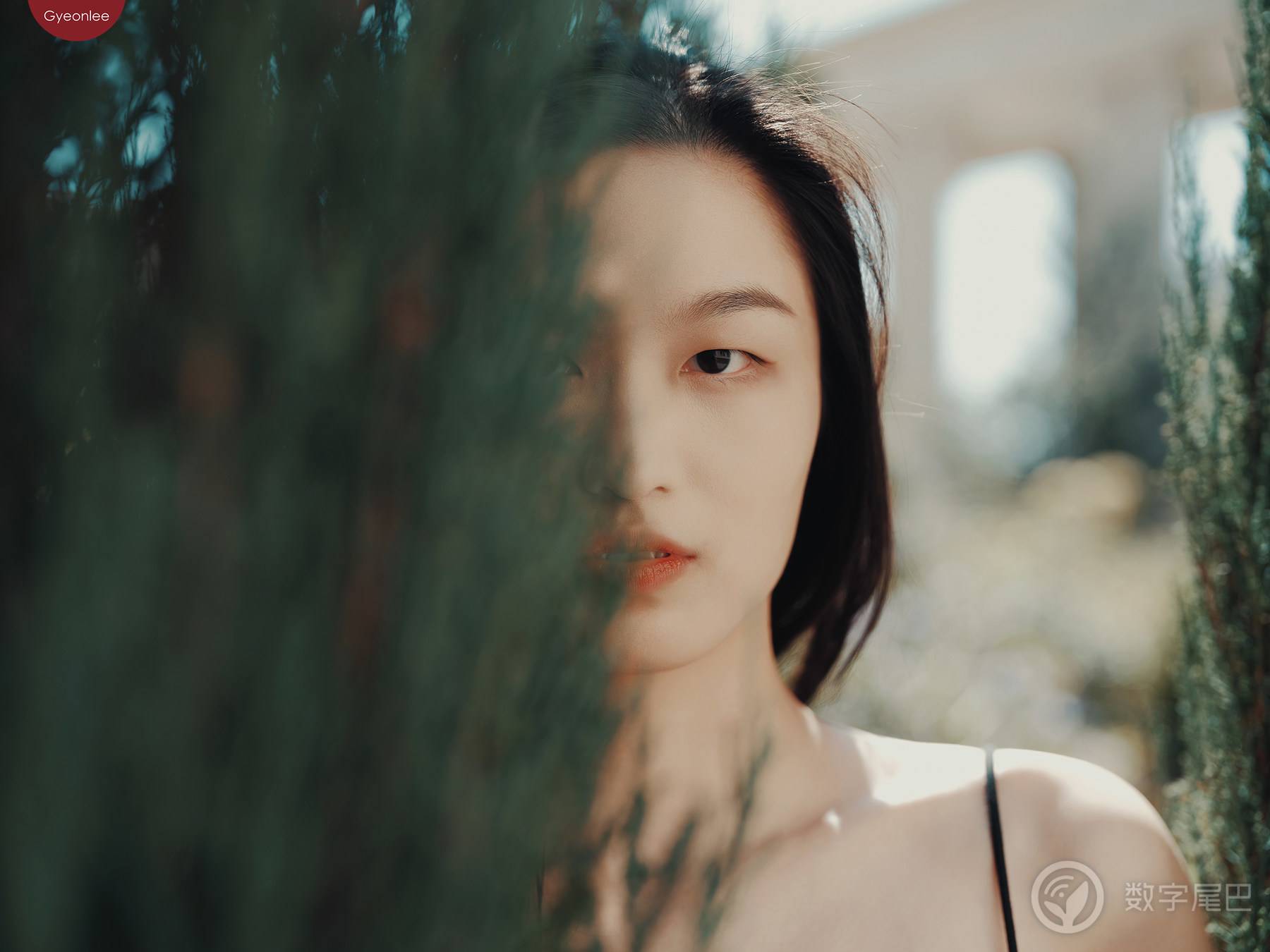 光与影 ｜ 富士GFX100II