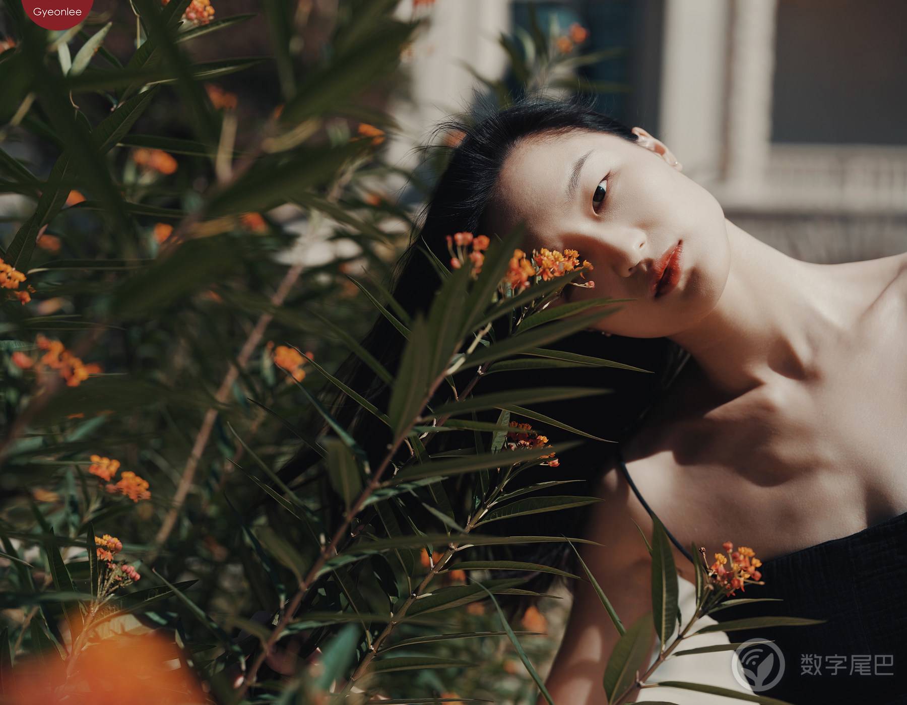 光与影 ｜ 富士GFX100II