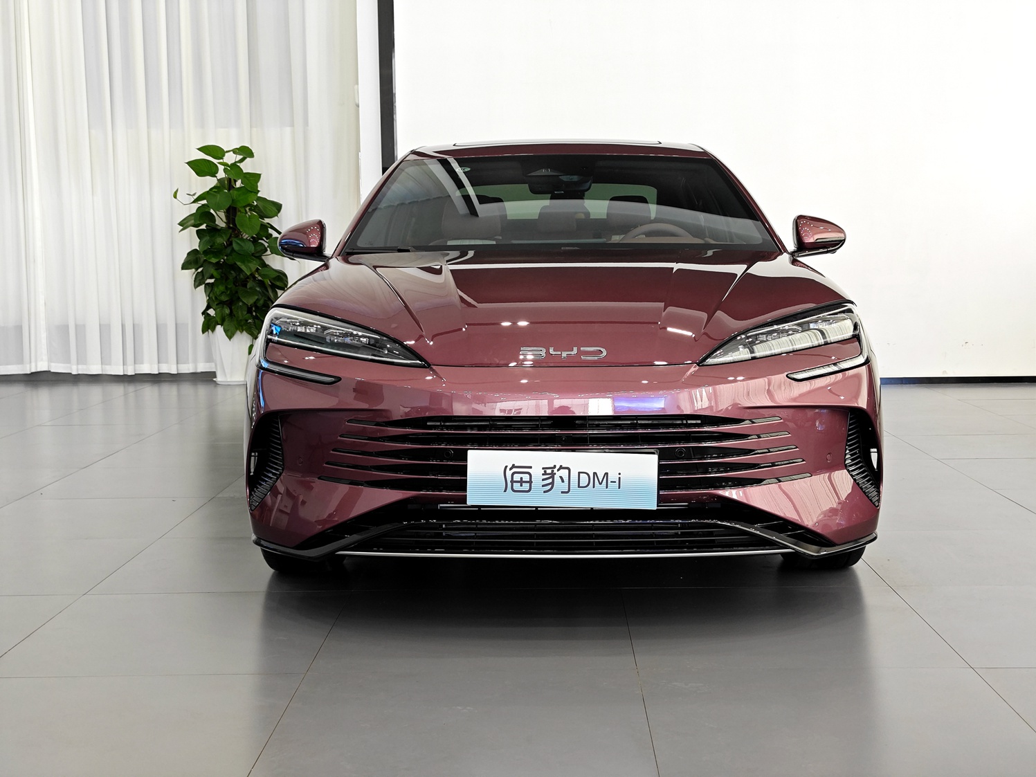 卷的就是合资中型燃油车！比亚迪海豹DM-i上市 16.68万元起 雅阁/凯美瑞小心了