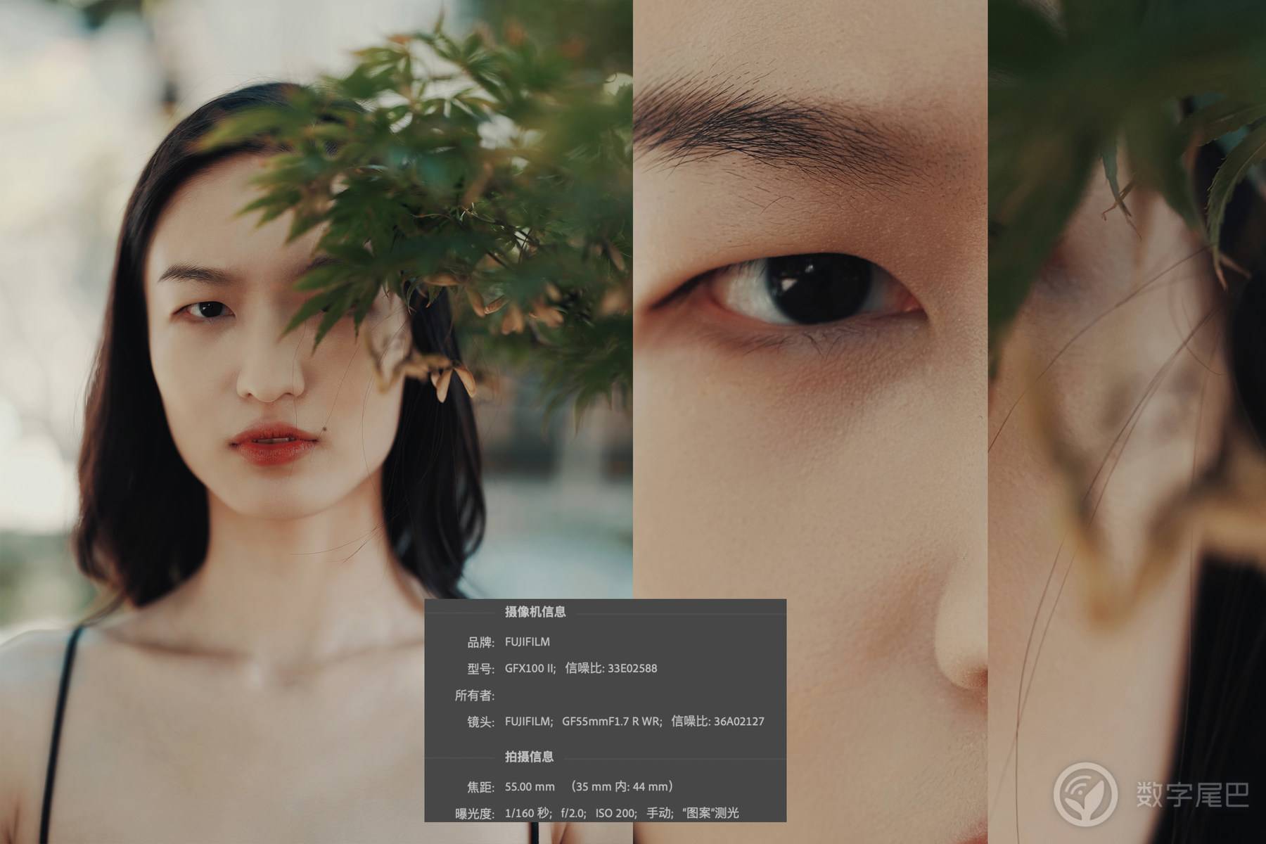 光与影 ｜ 富士GFX100II