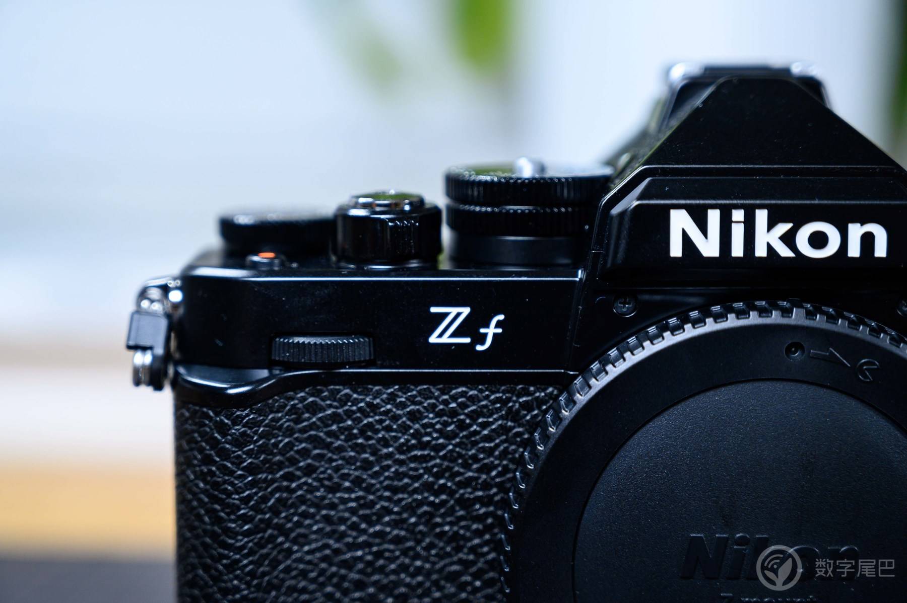 「十年之约」Nikon Zf 赋予爱以形式丨尼康映像