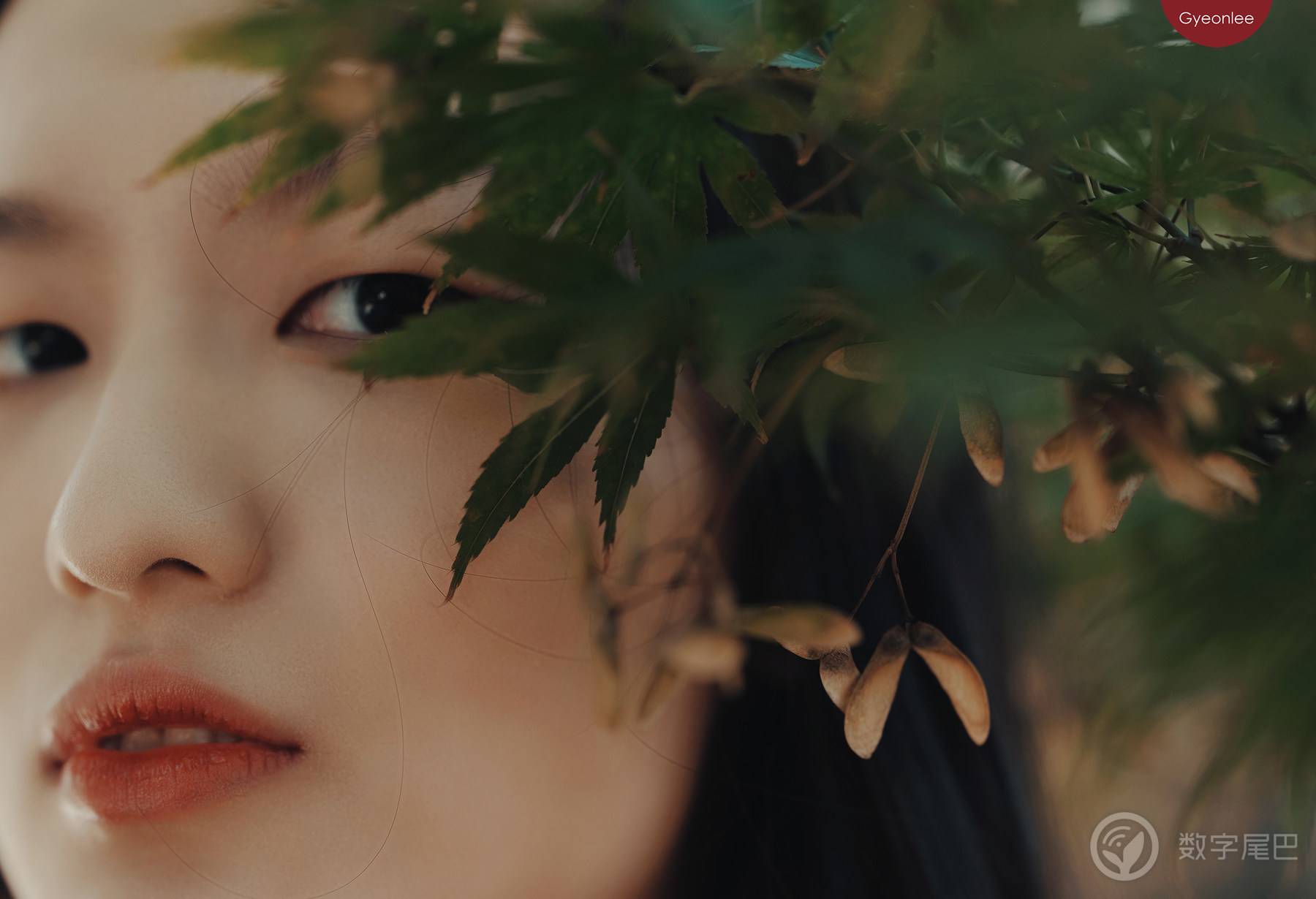 光与影 ｜ 富士GFX100II
