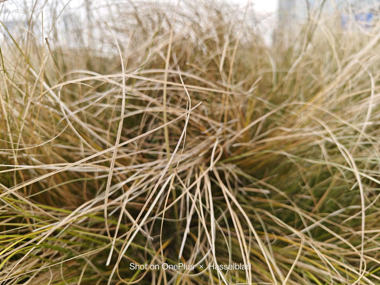 一加11评测：新起点 新旗舰