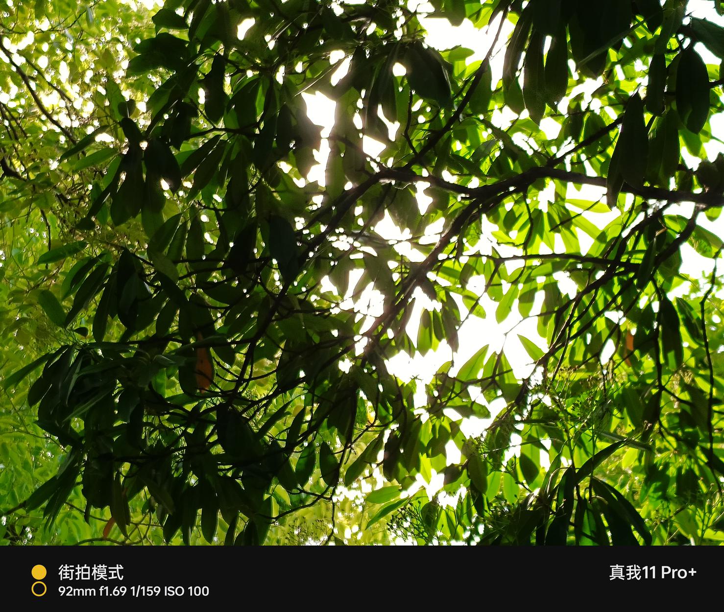 真我11 Pro+评测：2亿像素带动拍照新需求