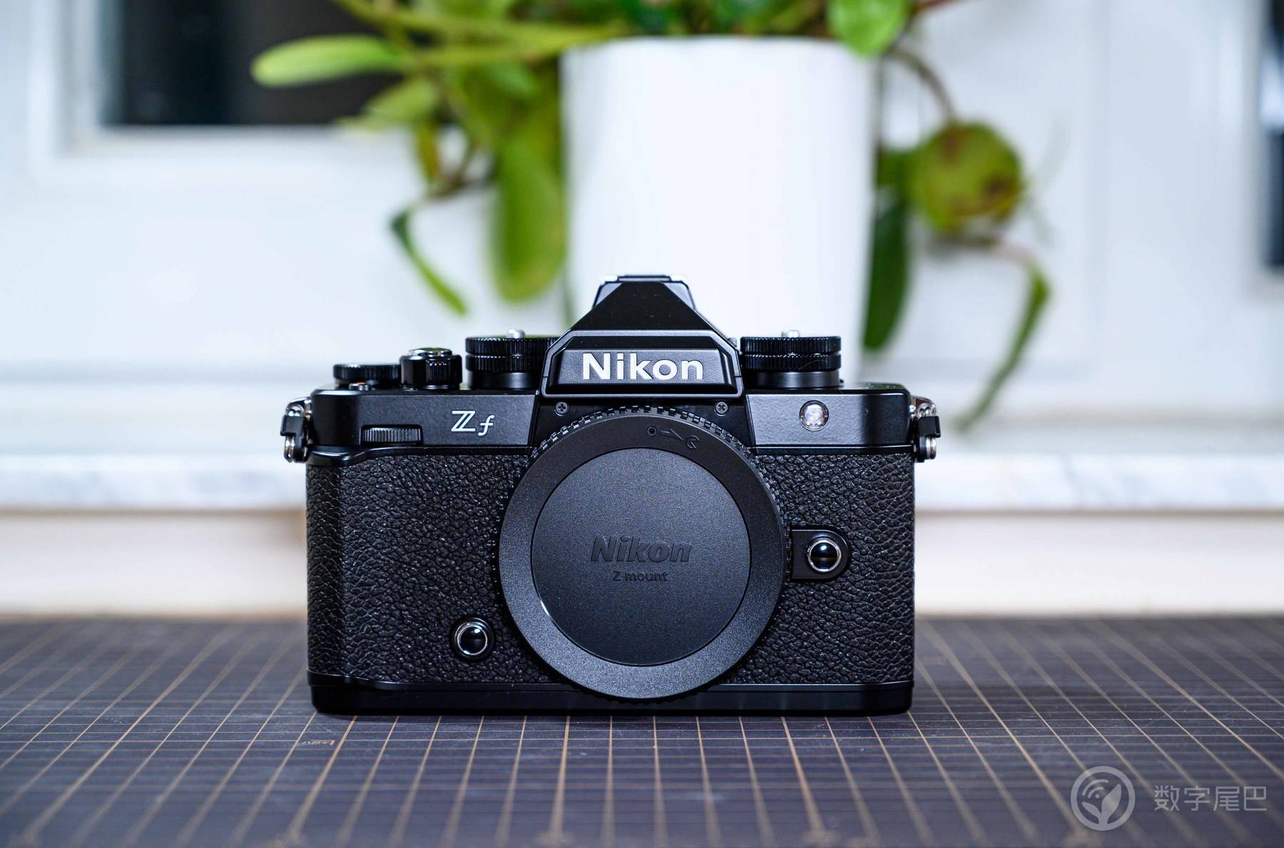 「十年之约」Nikon Zf 赋予爱以形式丨尼康映像