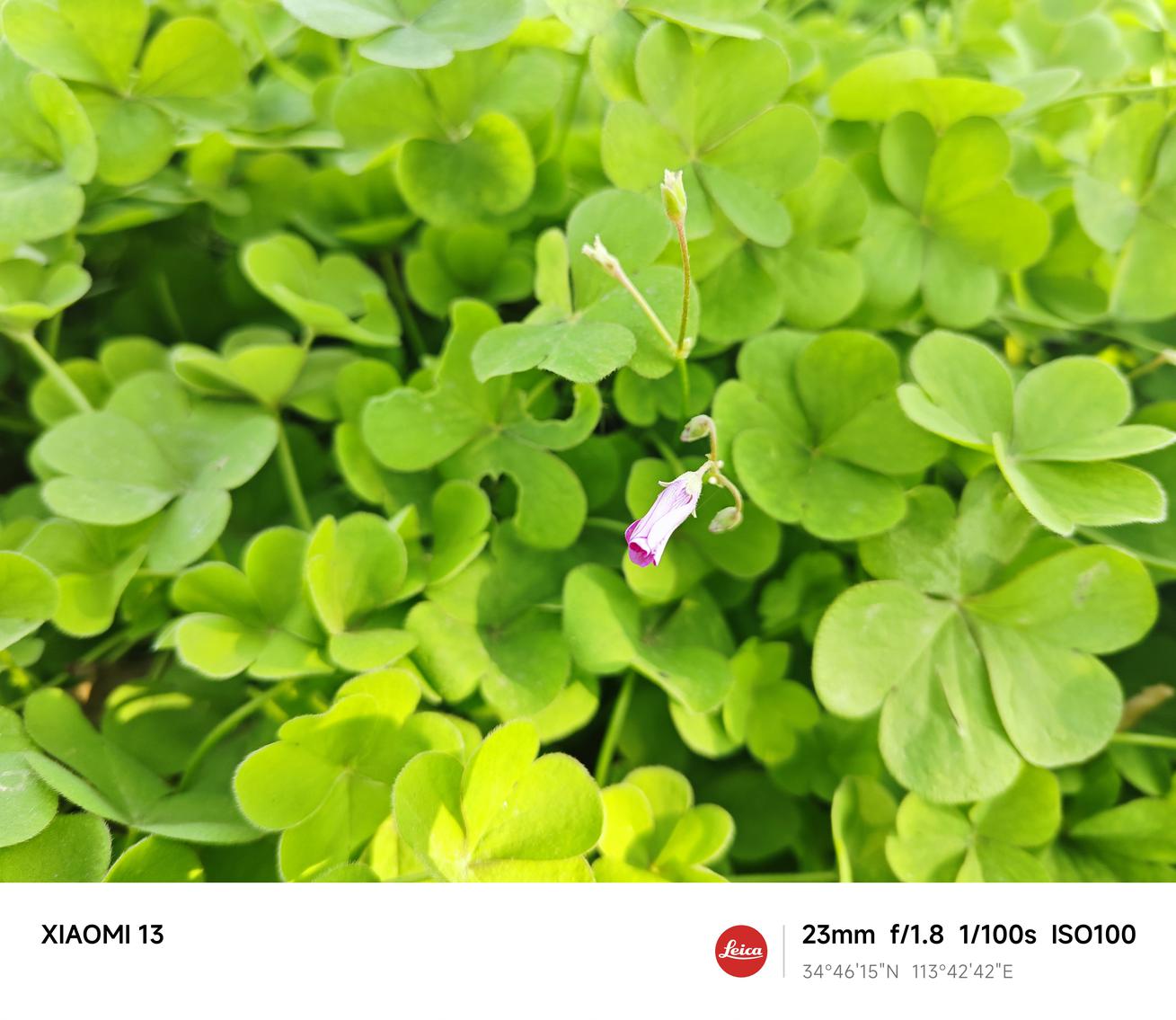 小米13评测:小米从标准版开始的高端之路