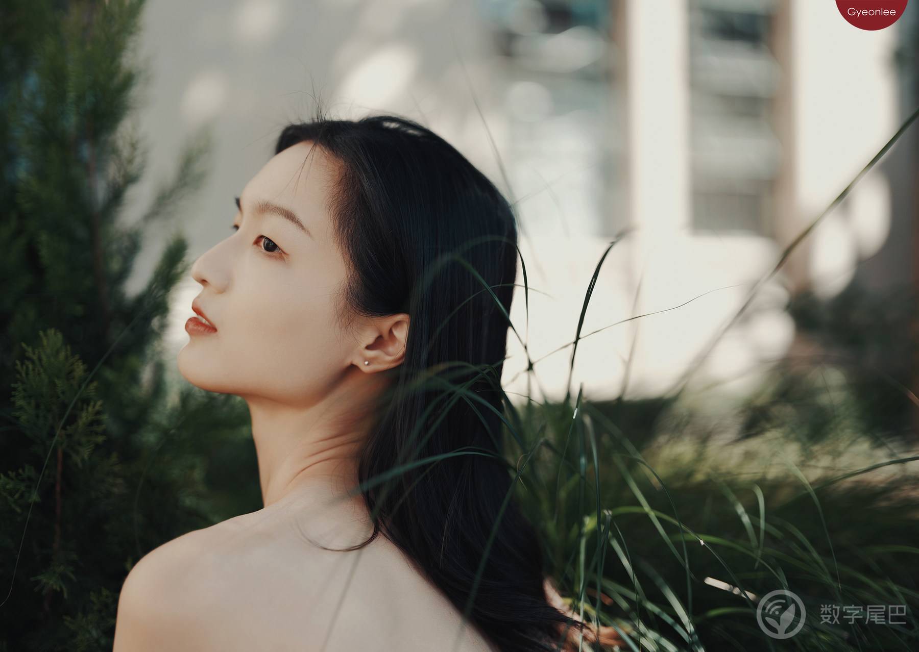 光与影 ｜ 富士GFX100II