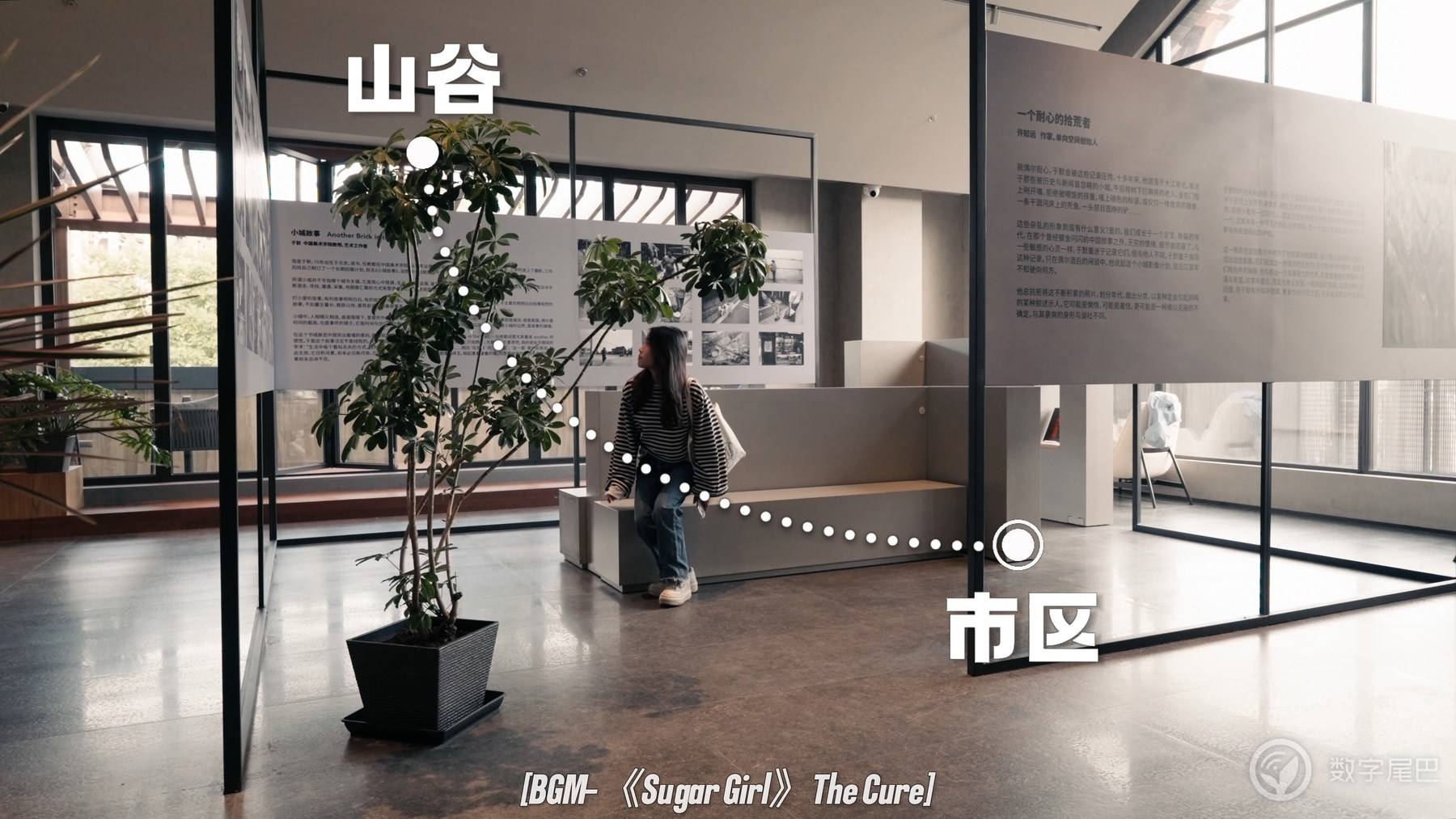 去山谷里享受阅读