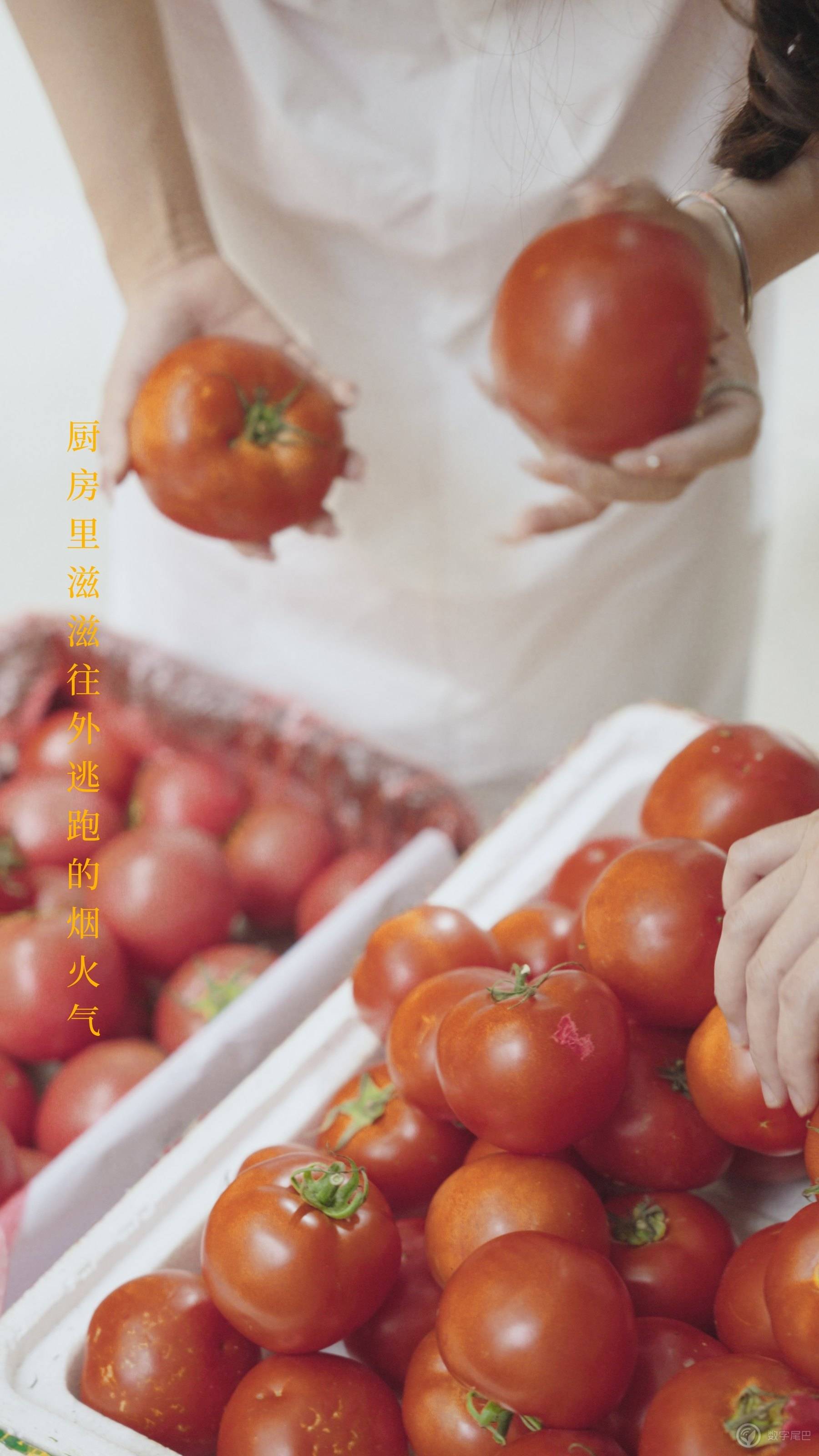 我把网暴经历拍成了情绪短片