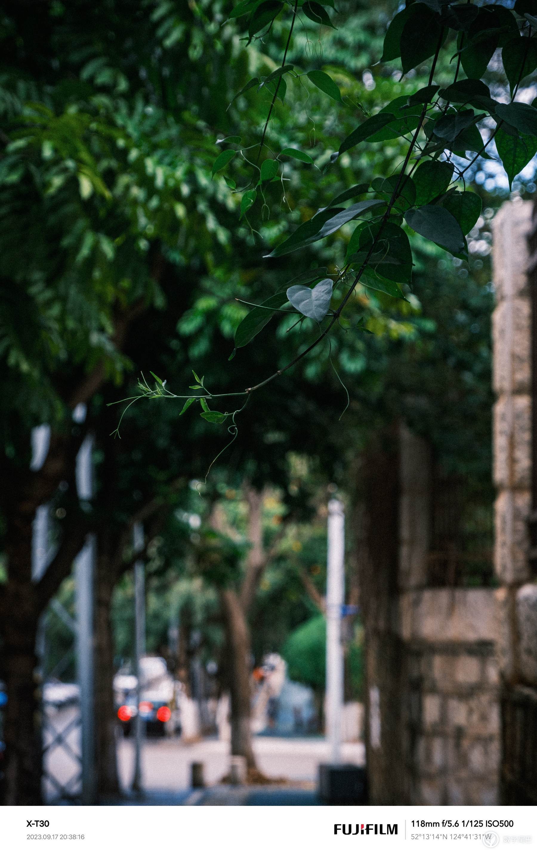 生活处处有风景——扫街分享