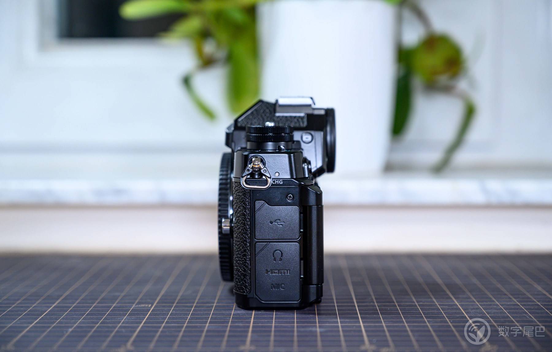 「十年之约」Nikon Zf 赋予爱以形式丨尼康映像