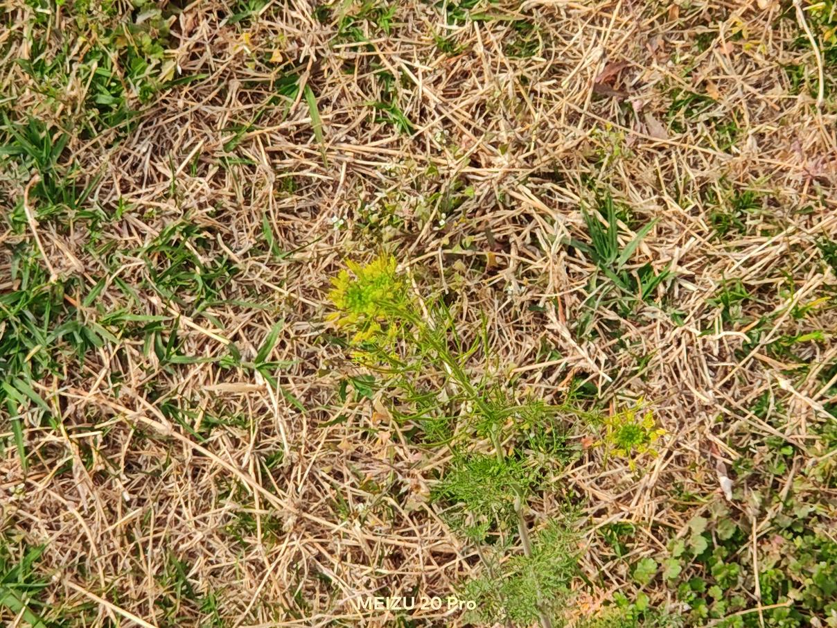 魅族20系列评测：最大的亮点是手机本身