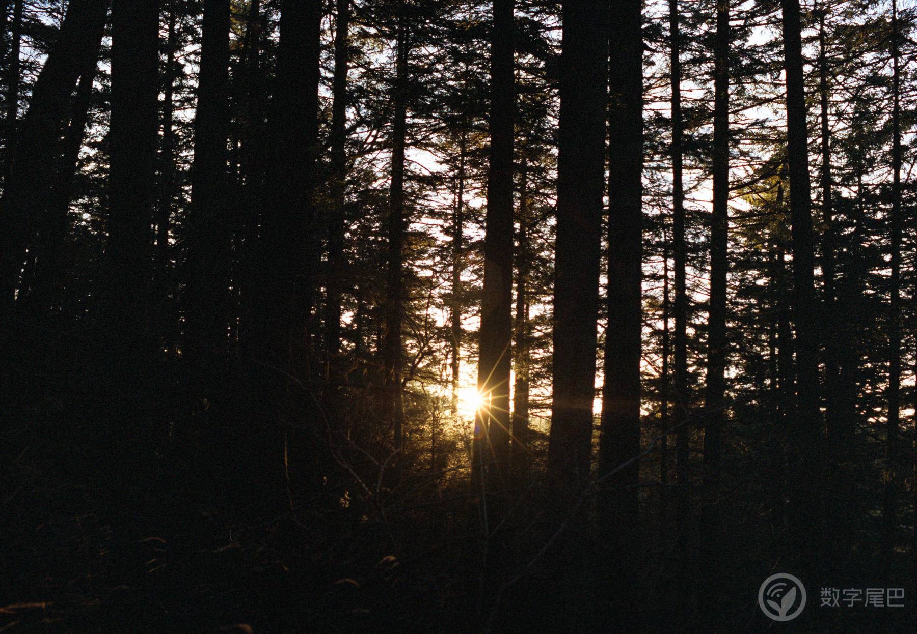 独自骑车去长白山，一边骑一边拍