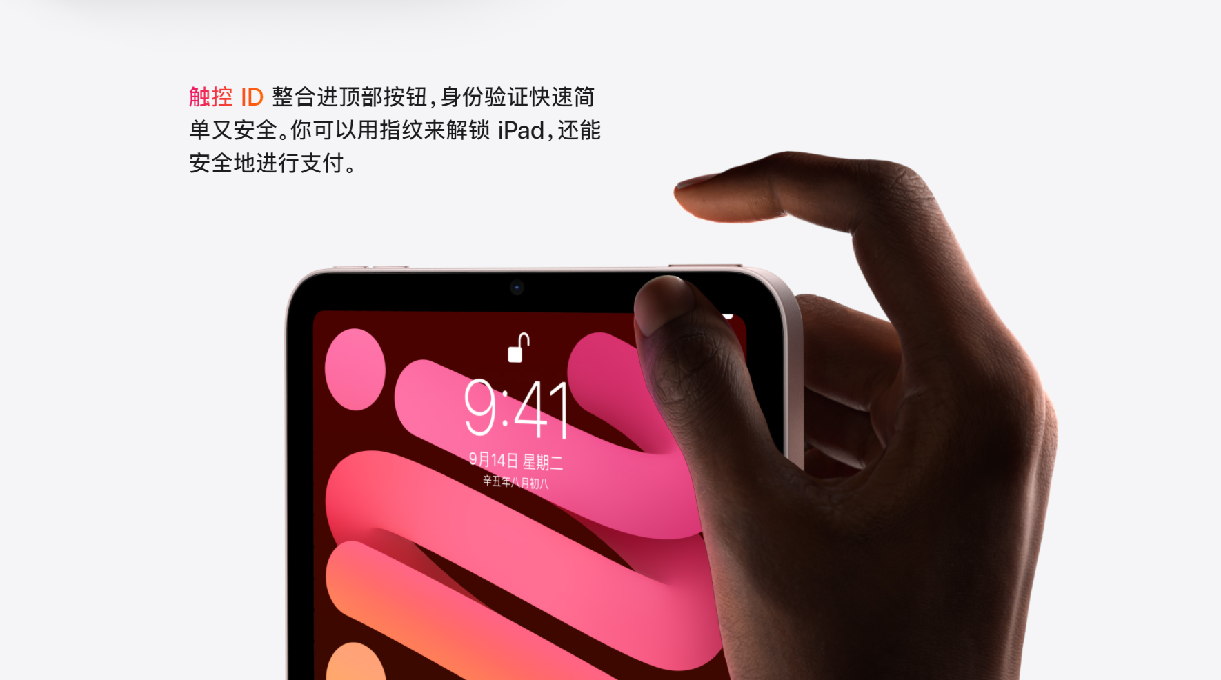 新iPhone春晚照常举办 但地方台的节目似乎更好看