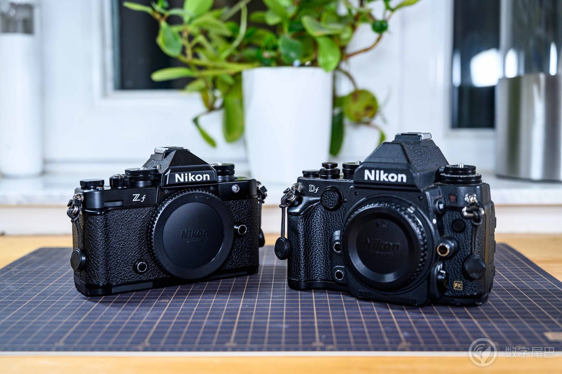 「十年之约」Nikon Zf 赋予爱以形式丨尼康映像