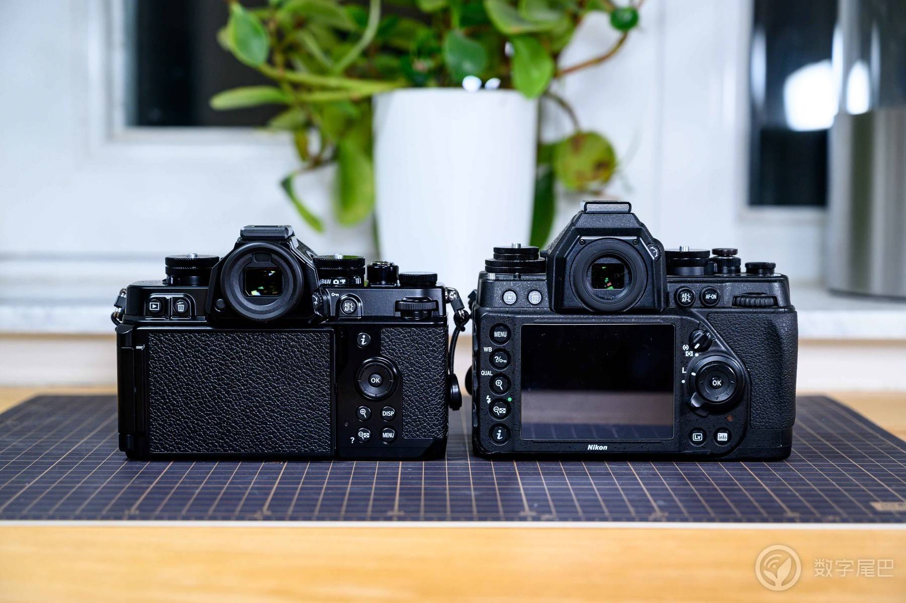 「十年之约」Nikon Zf 赋予爱以形式丨尼康映像