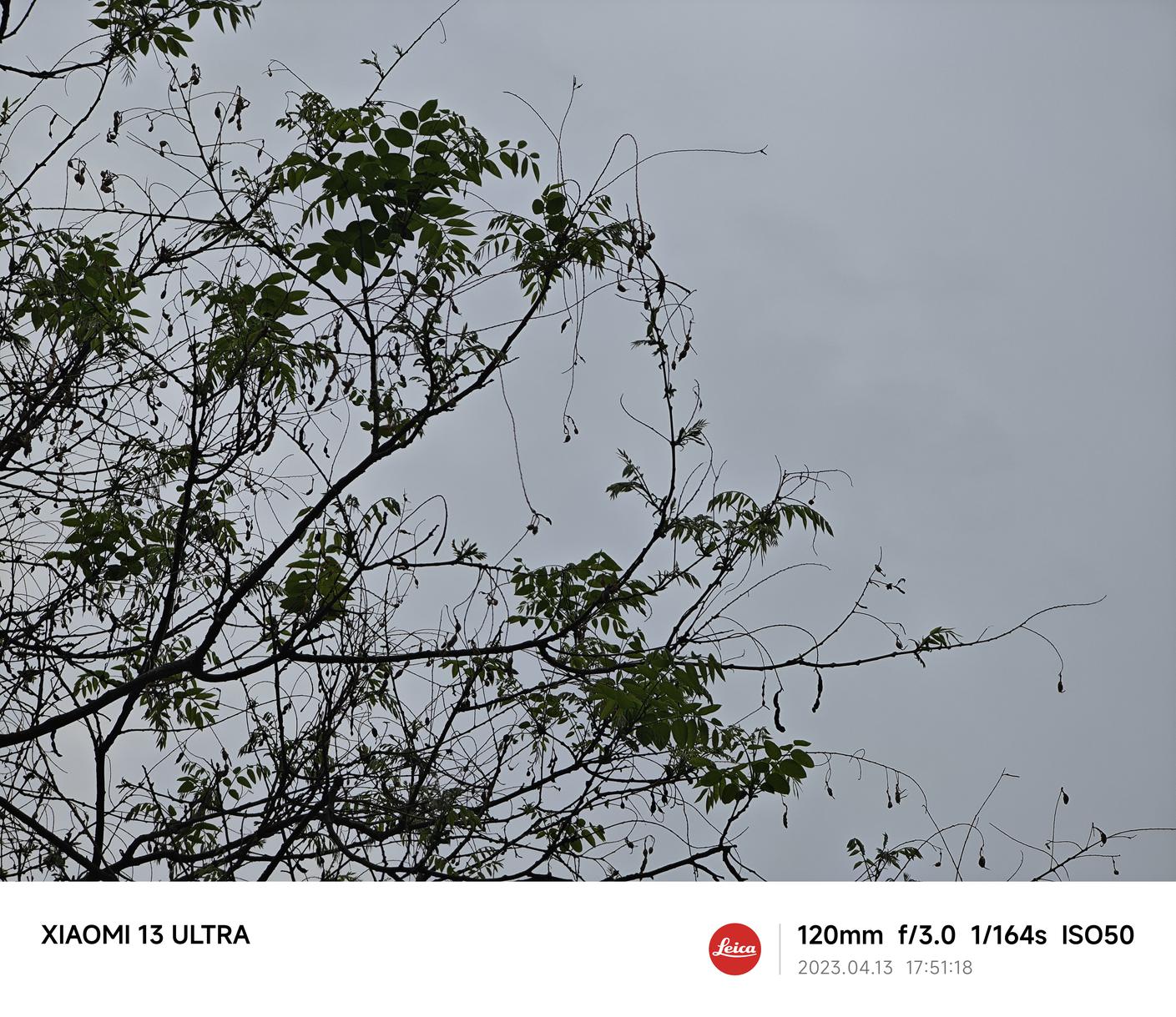 小米13 Ultra评测：重新唤醒你的拍照欲