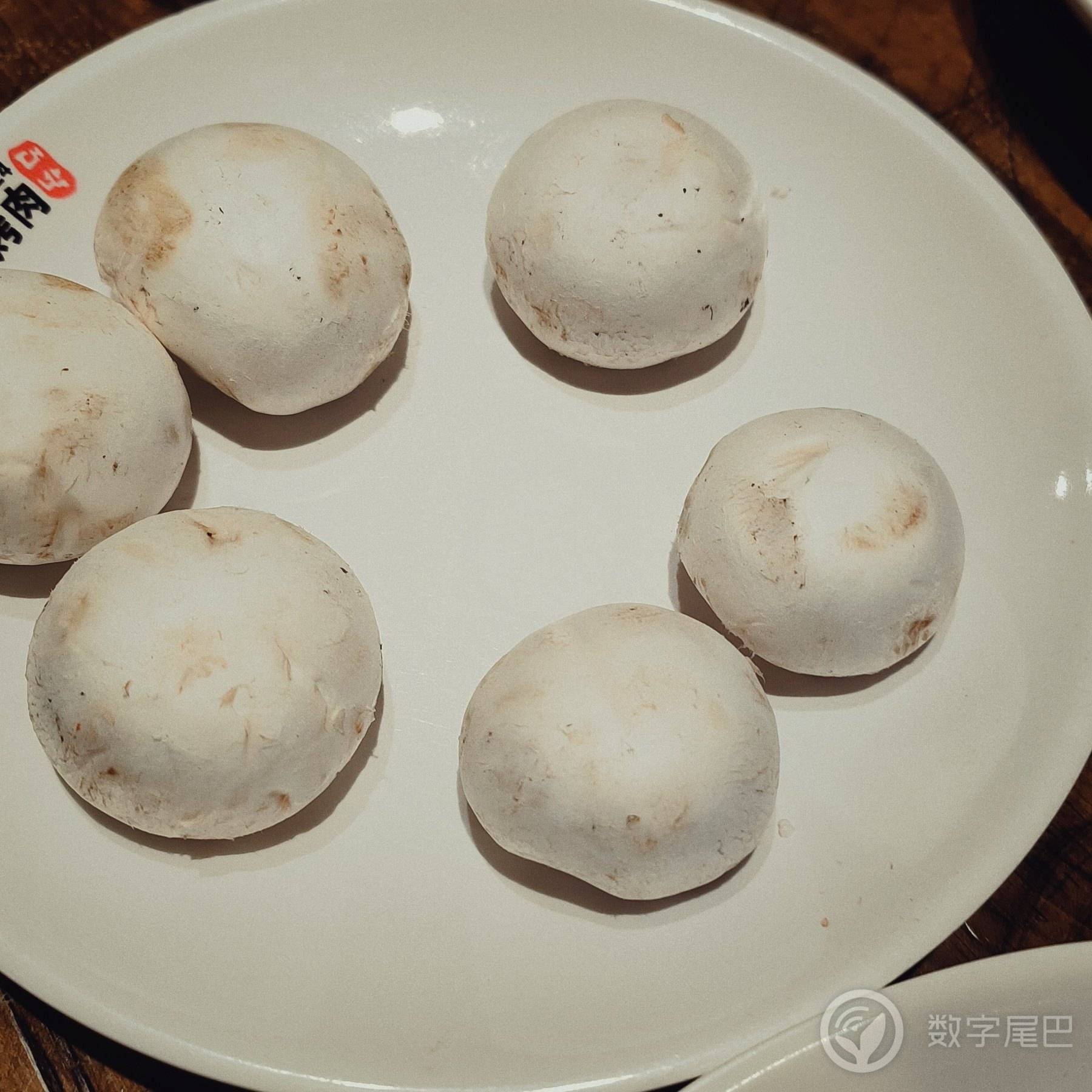 东北方向在往北的旅行