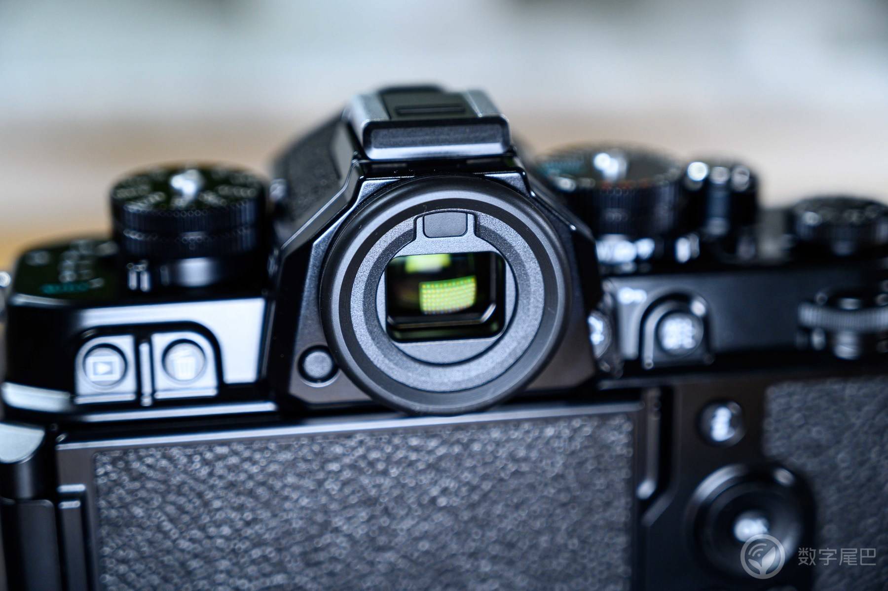 「十年之约」Nikon Zf 赋予爱以形式丨尼康映像