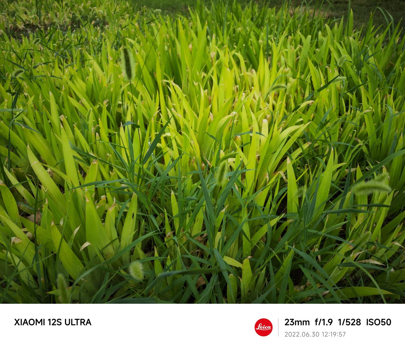 小米12S Ultra评测：移动影像的下一个时代 由此开启
