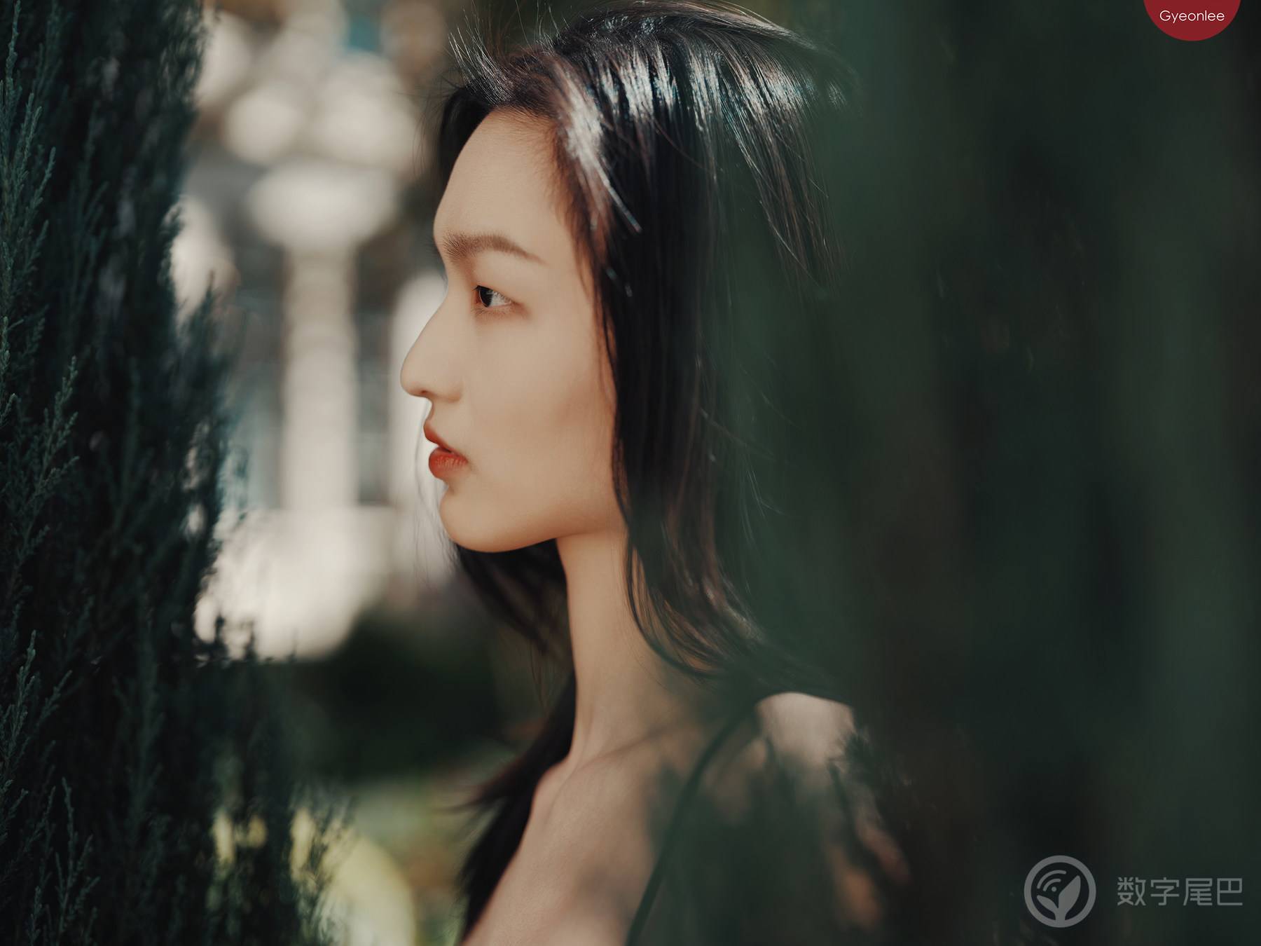 光与影 ｜ 富士GFX100II