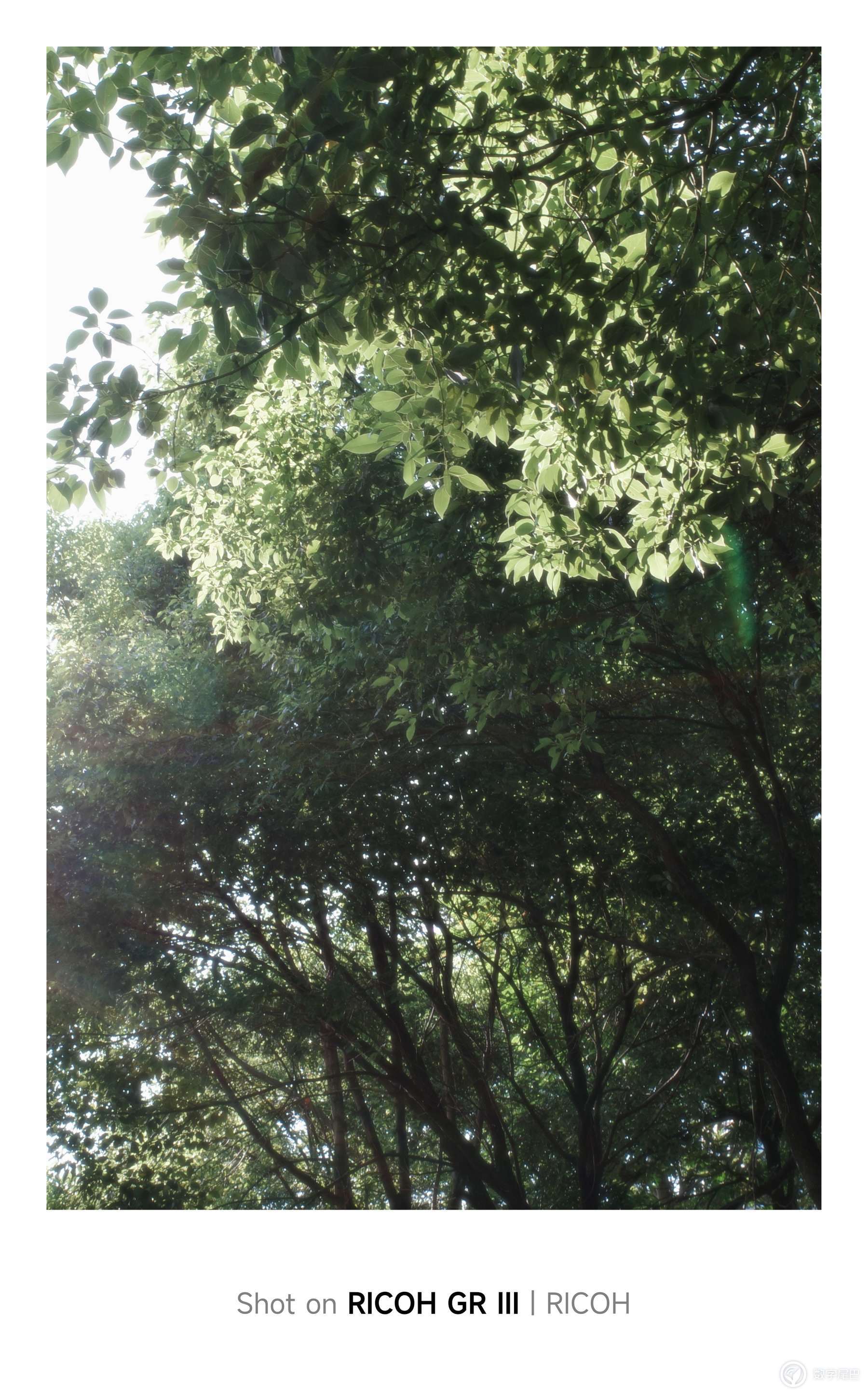 日常记录-广东11月-短袖