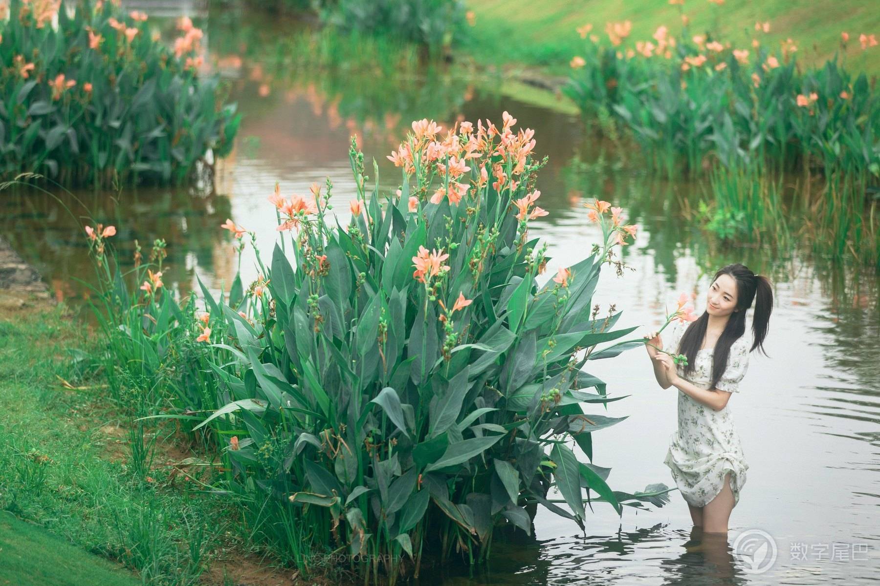 水中花