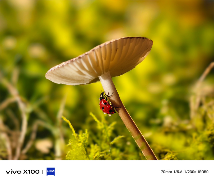 vivo X100 Pro 手机外观及拍摄样张公布，橙、蓝配色 + 曲面屏设计