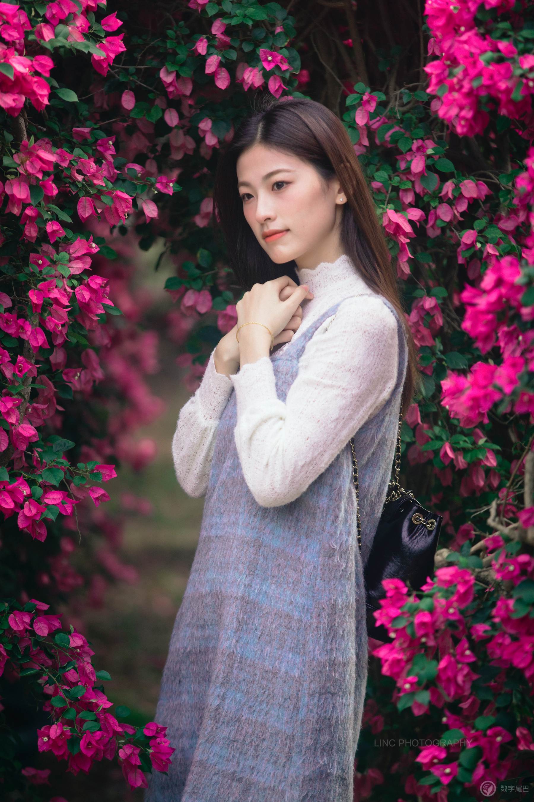 簕杜鹃花海女生