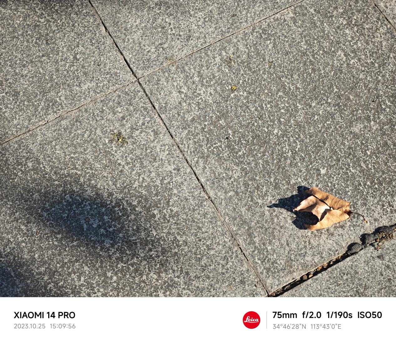 小米14 Pro评测：百尺竿头 更进一步