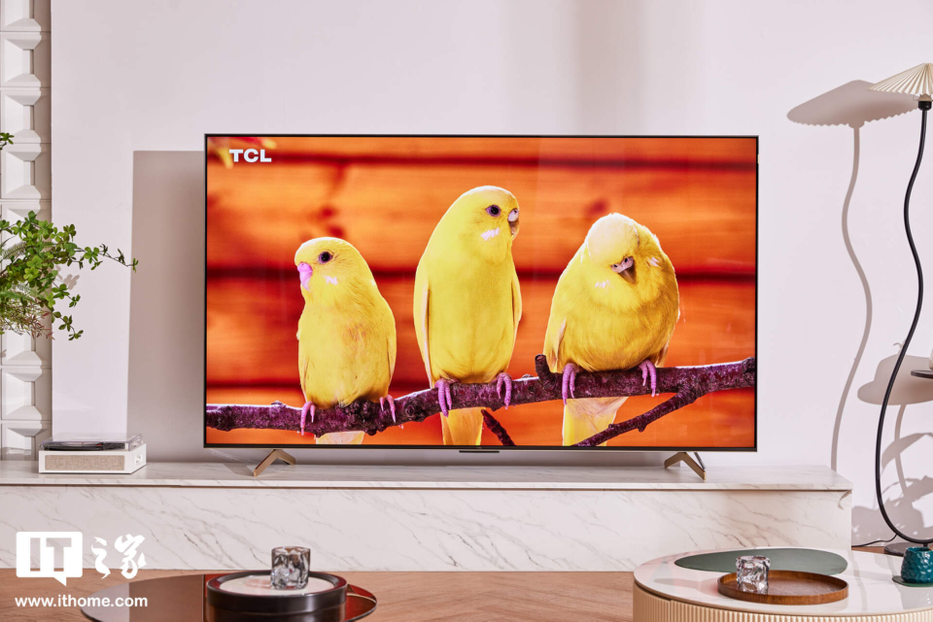 TCL C11G Pro 体验：体验为王，万元 Mini LED 电视绕不开的选择