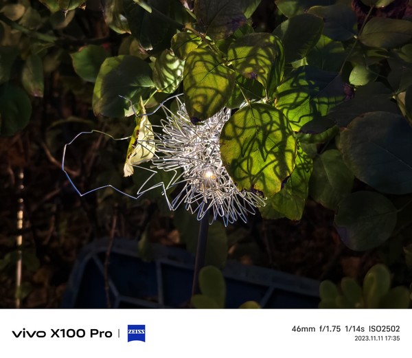 vivo X100 Pro：全面领先的蔡司影像 让每一拍都出众