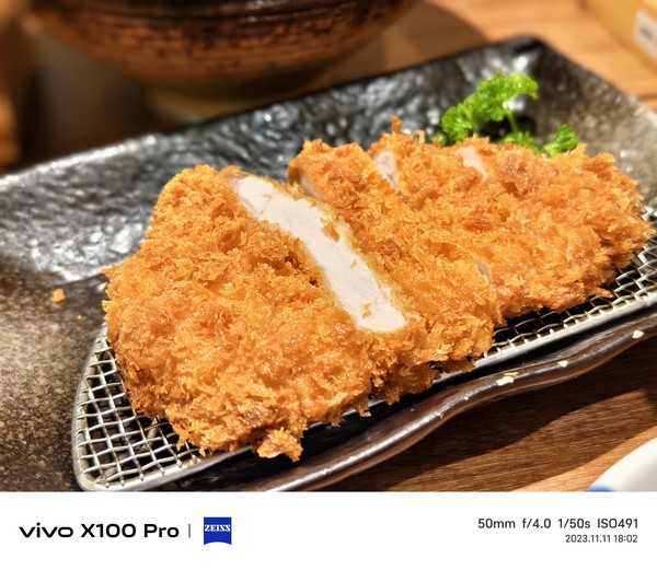 vivo X100 Pro：全面领先的蔡司影像 让每一拍都出众