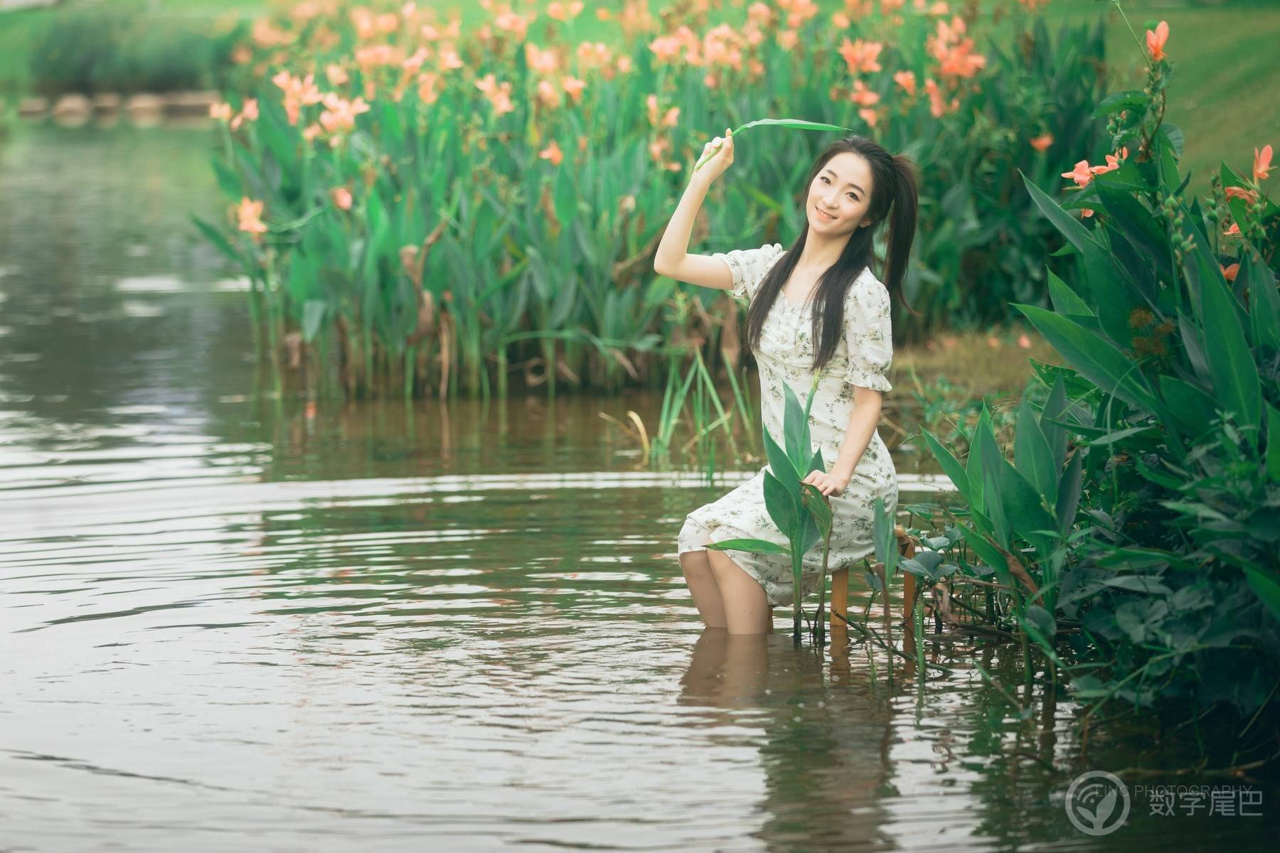 水中花
