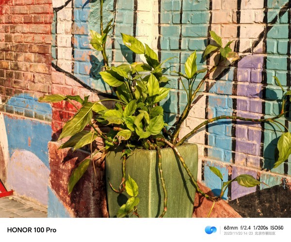 荣耀100 Pro上手体验：新艺术美学引领机圈时尚新风潮