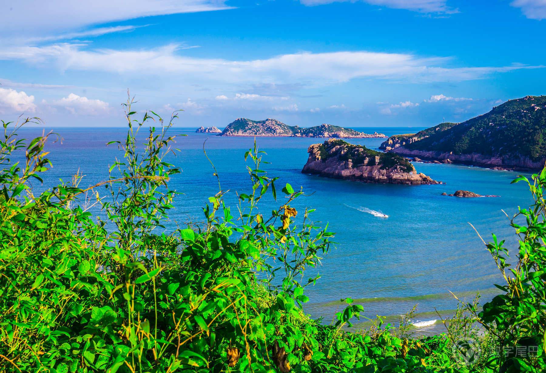 高山流水觅知音，南麂岛上浪弹琴